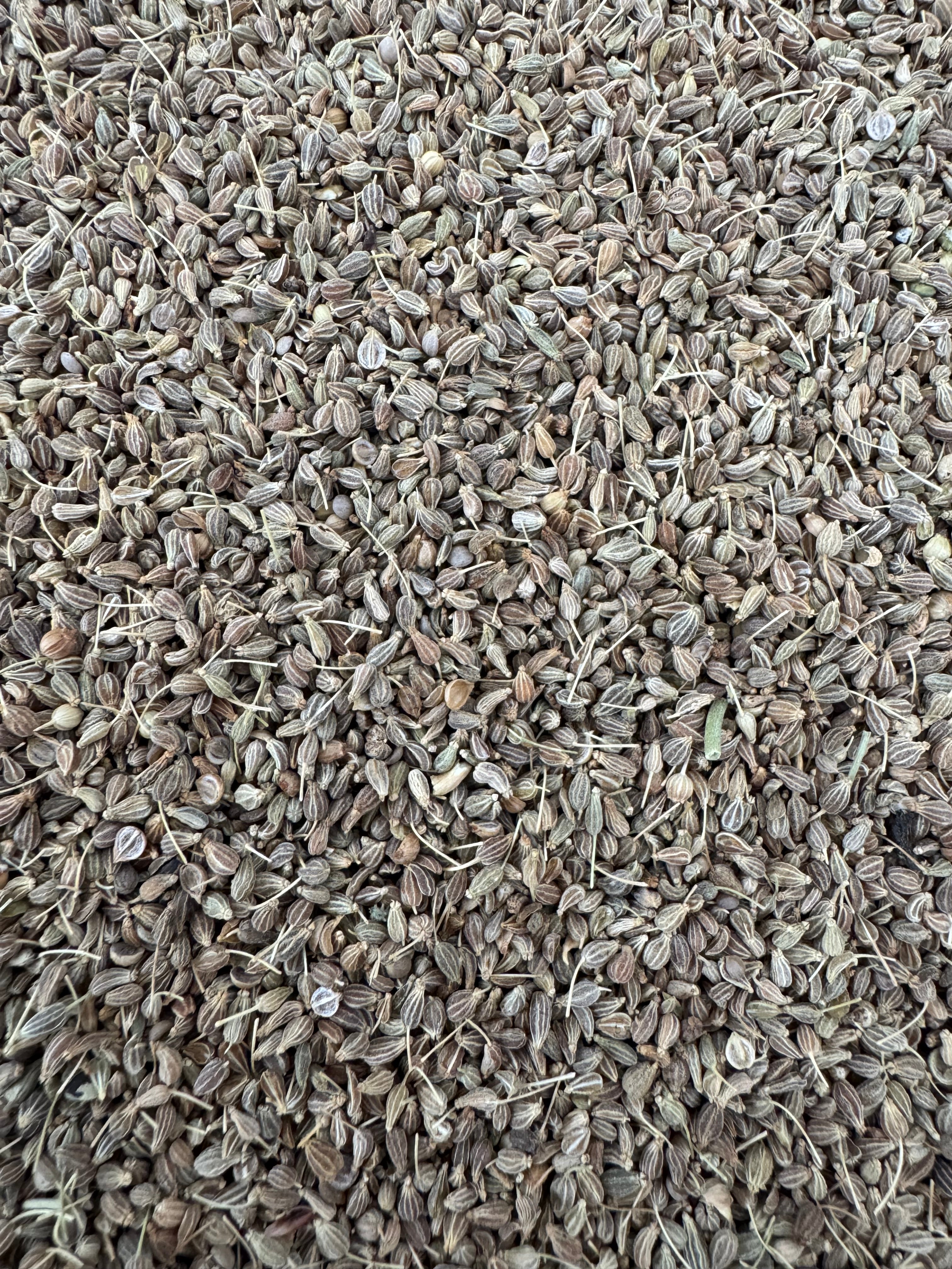 ANÍS GRANO
