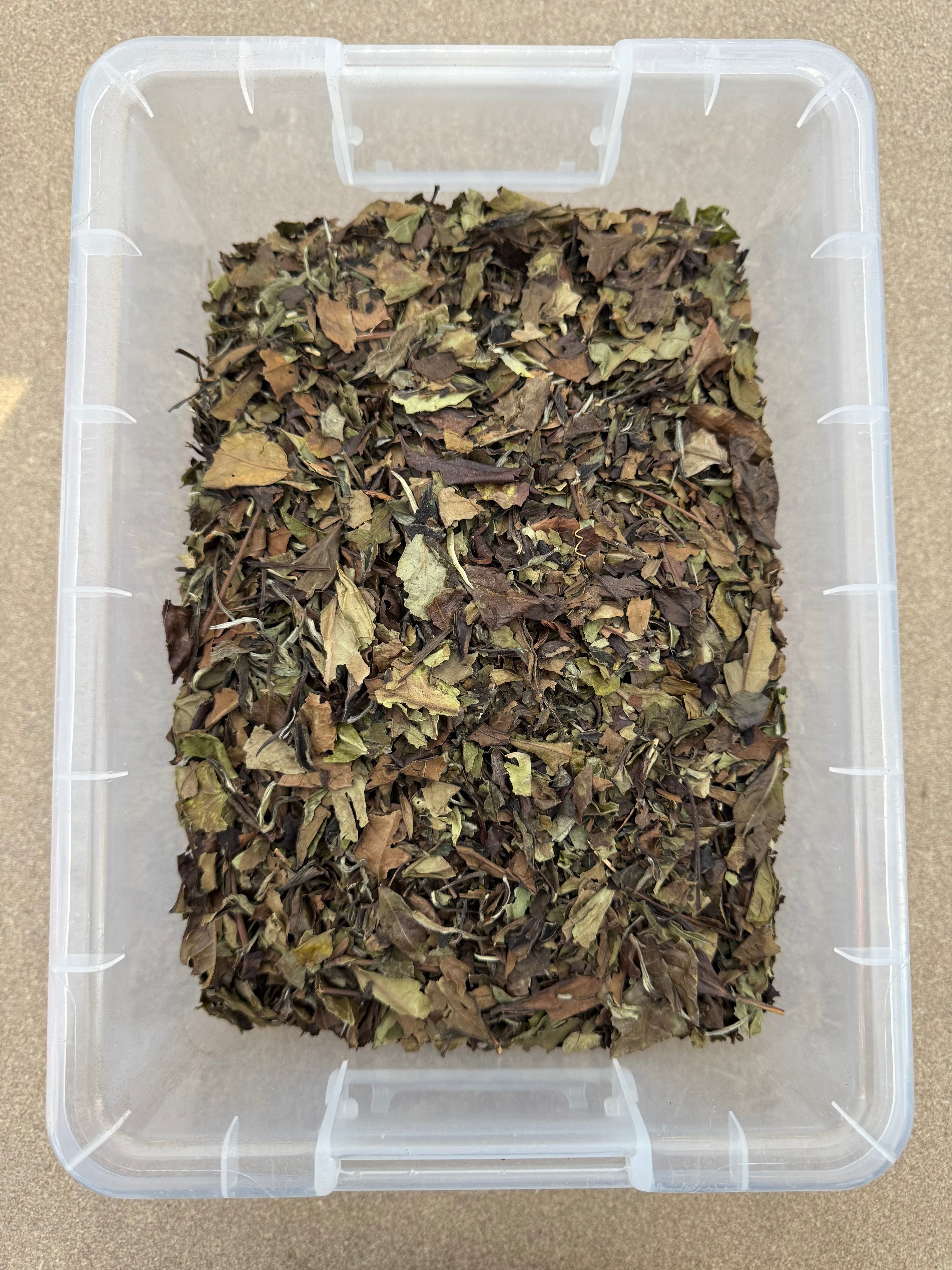 TÉ BLANCO