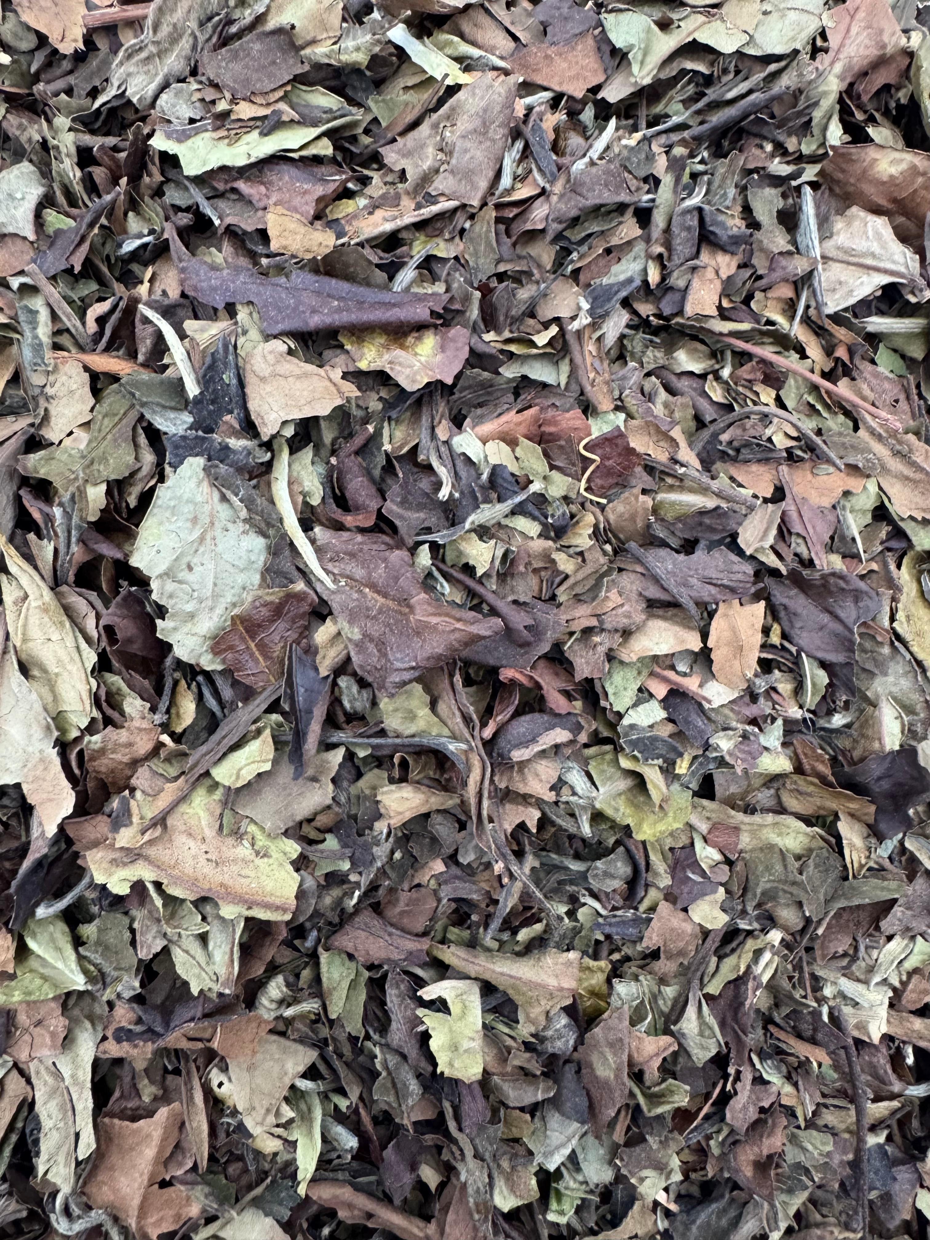 TÉ BLANCO