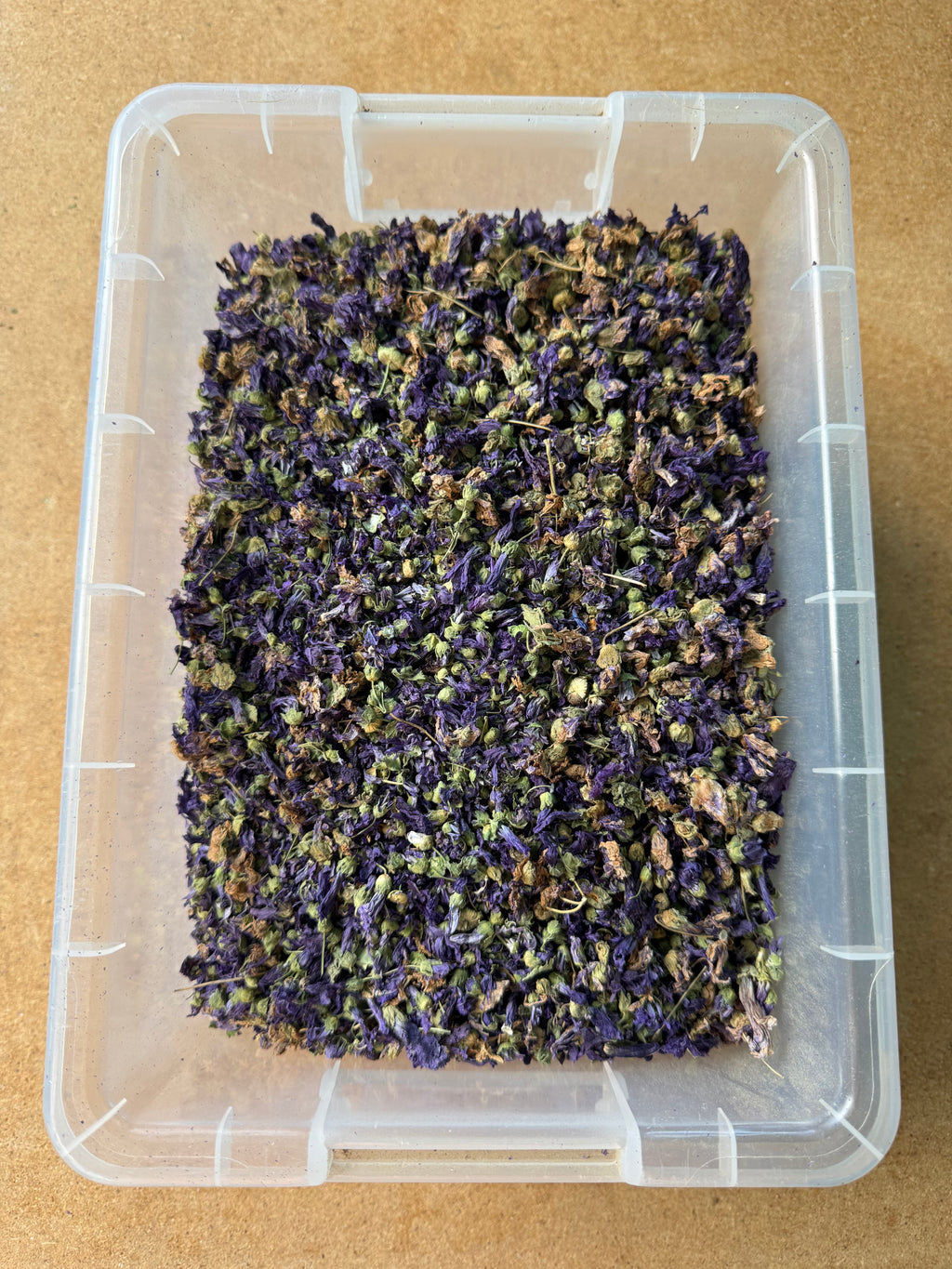MALVA