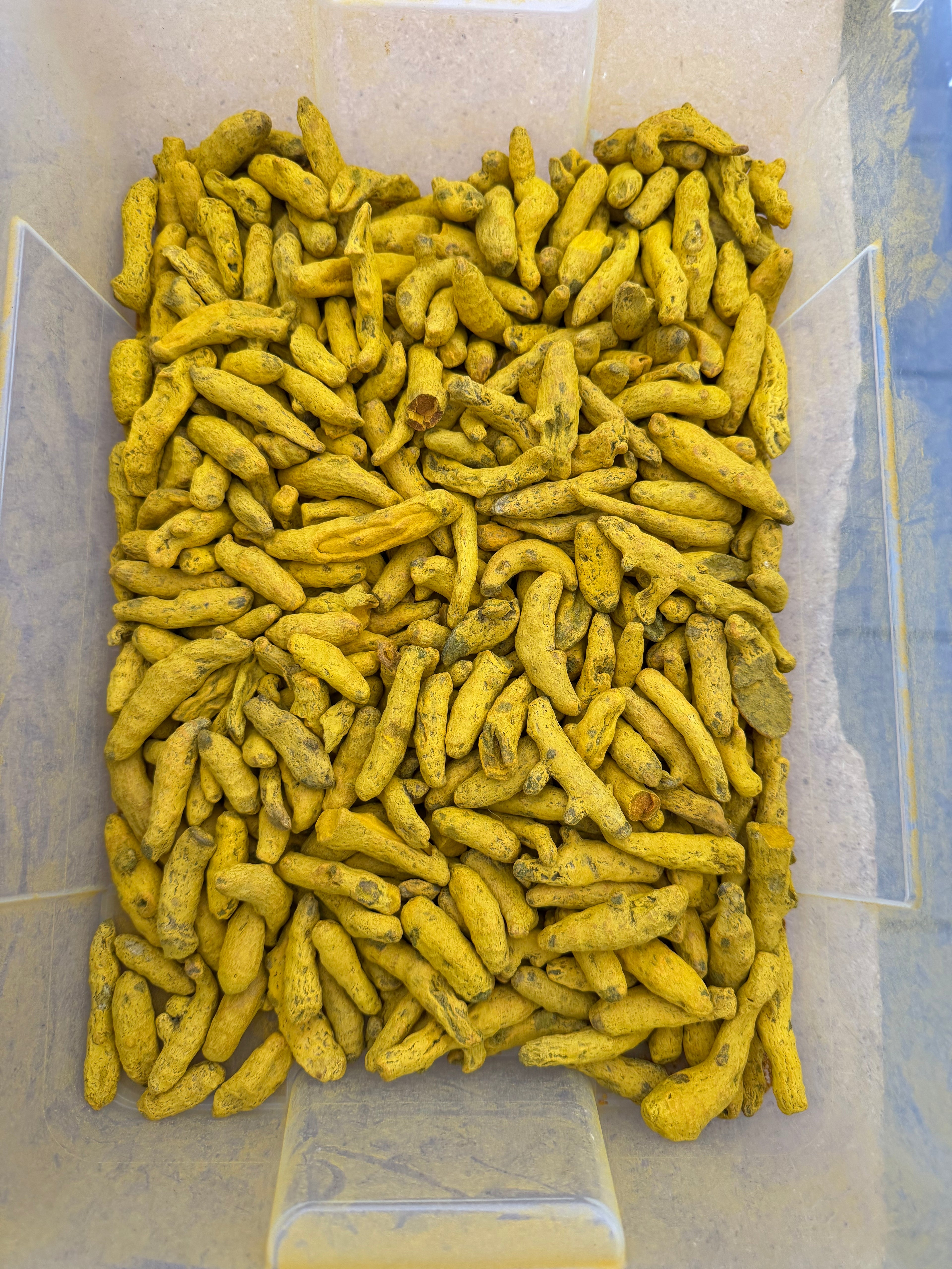 CÚRCUMA INFUSIÓN