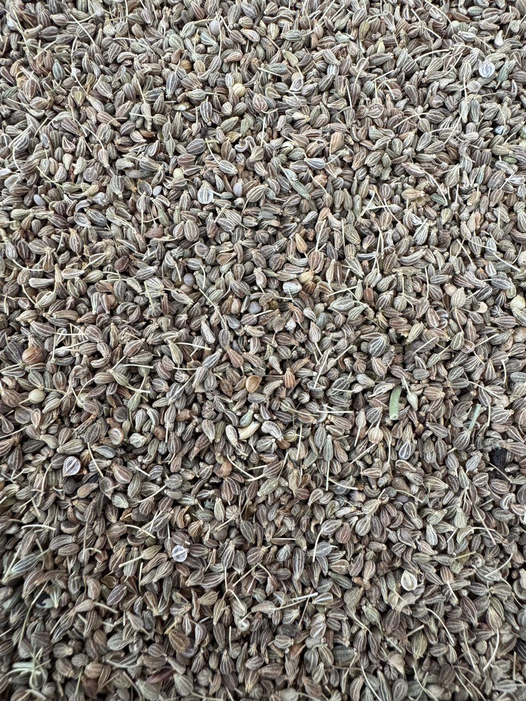 ANÍS GRANO