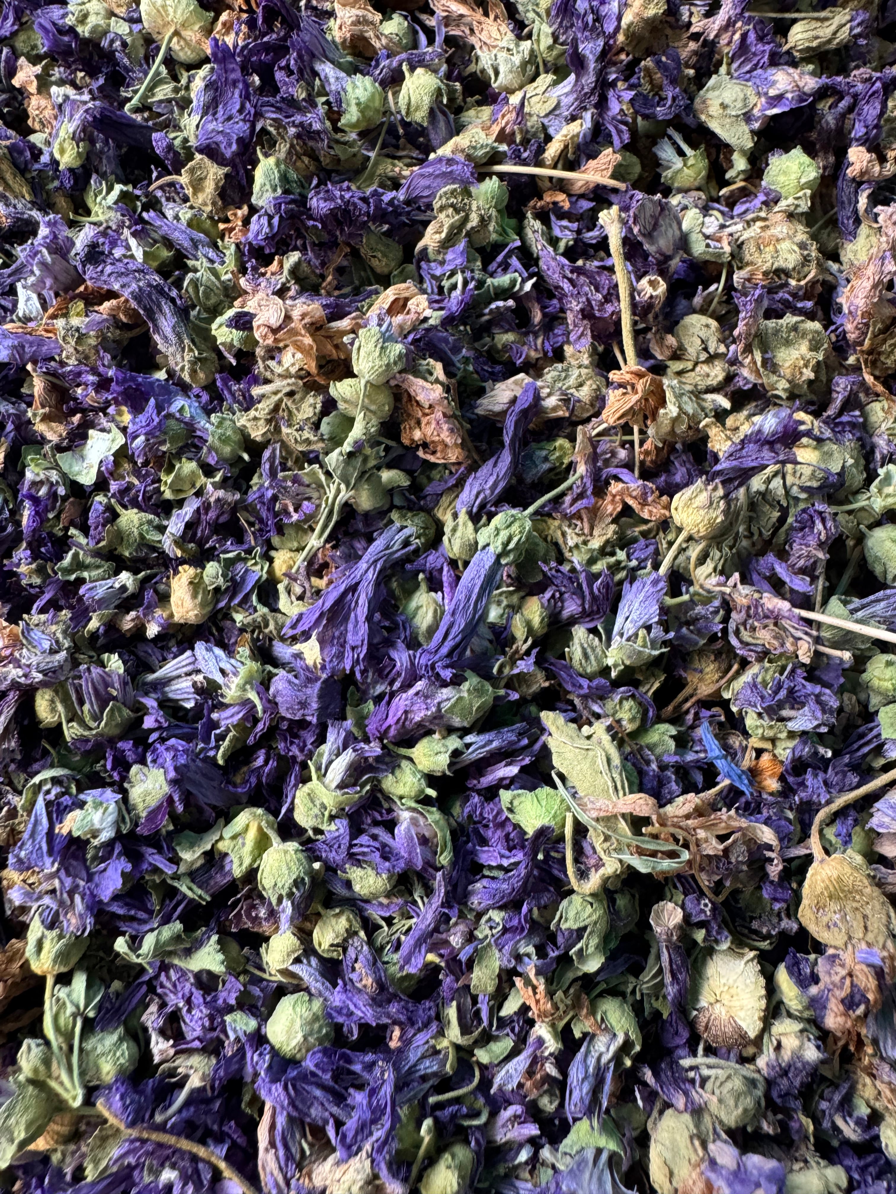 MALVA
