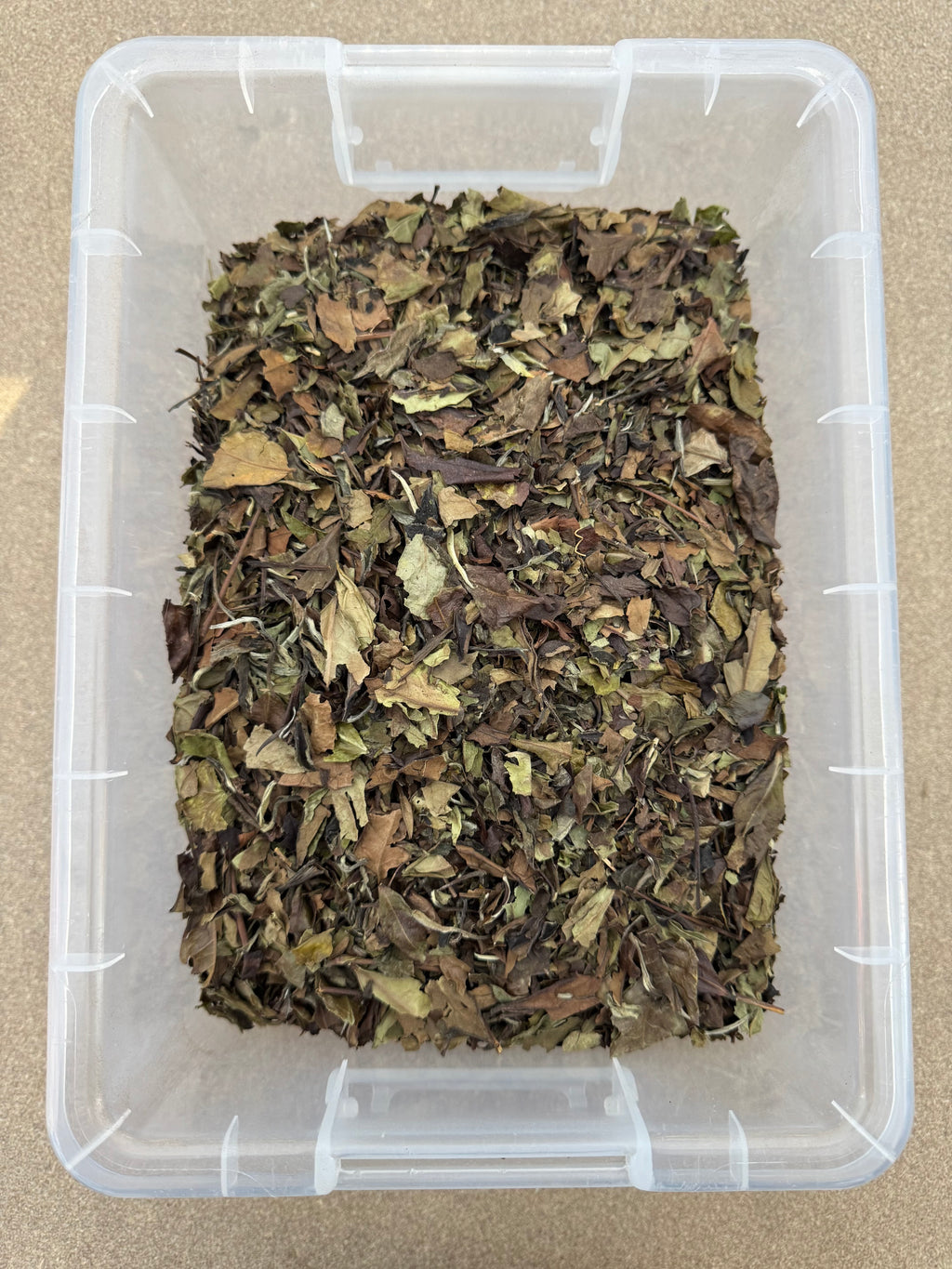 TÉ BLANCO