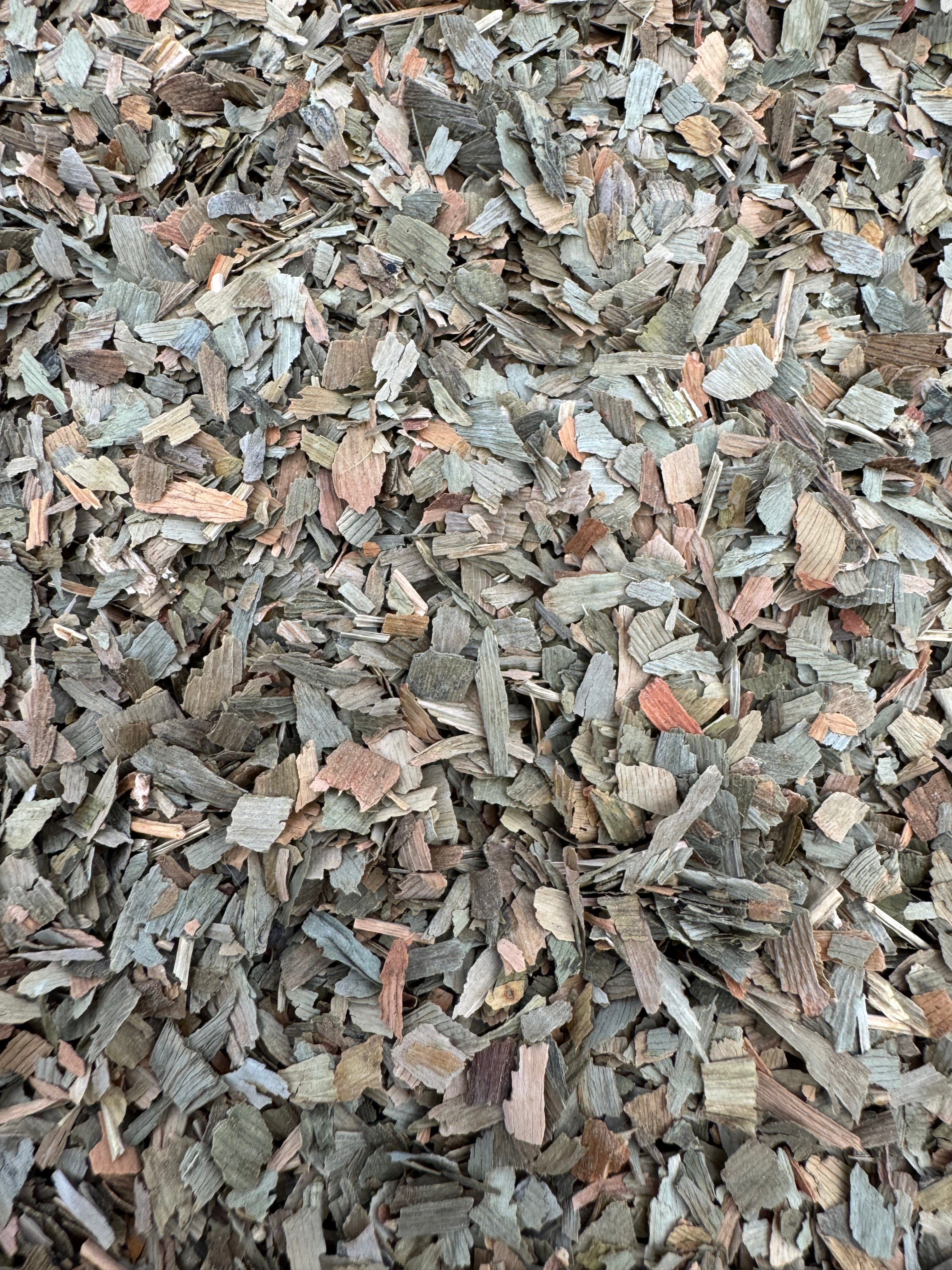 GINKO BILOBA