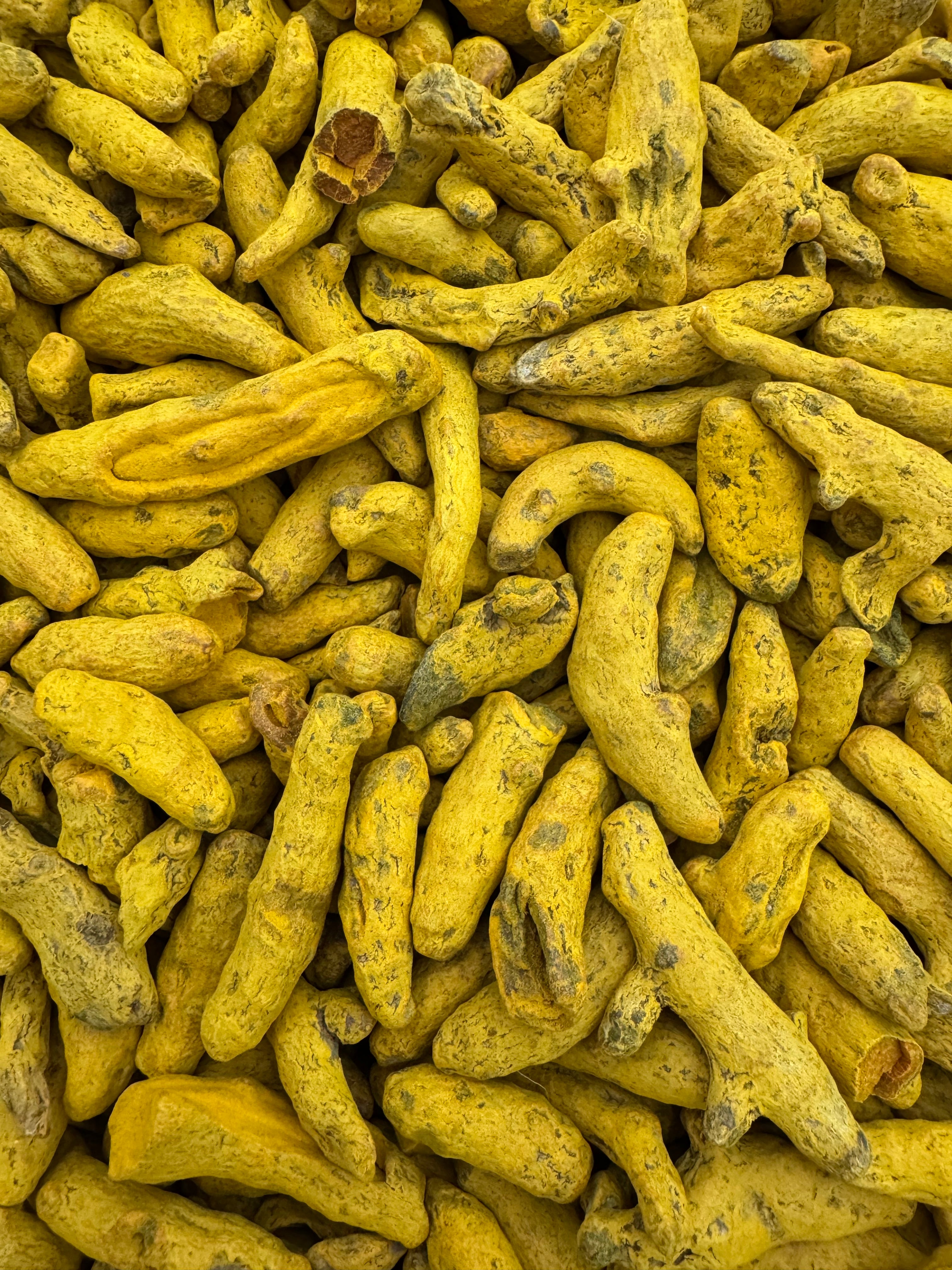 CÚRCUMA INFUSIÓN